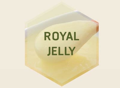 ROYAL JELLY