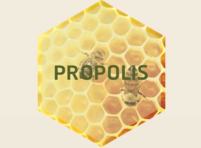 PROPOLIS